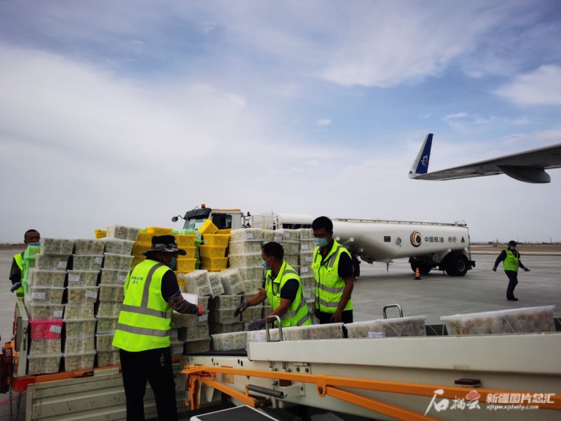 中亞南亞聯手中國西部日益緊密走廊生機蓬勃，新疆區域航空人流貨流量質舉起精彩